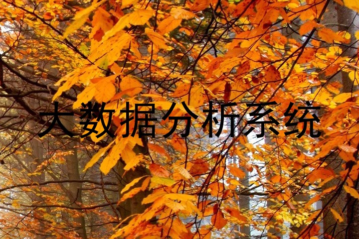 大数据分析系统