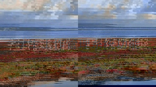 学生工作管理系统功能