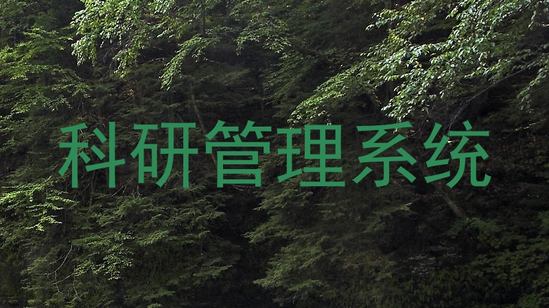 科研管理系统