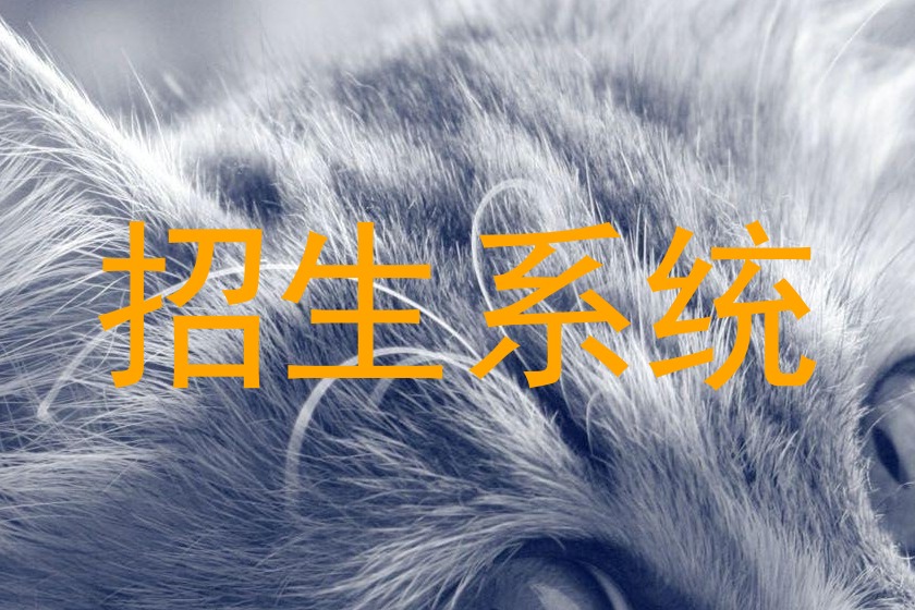 招生系统