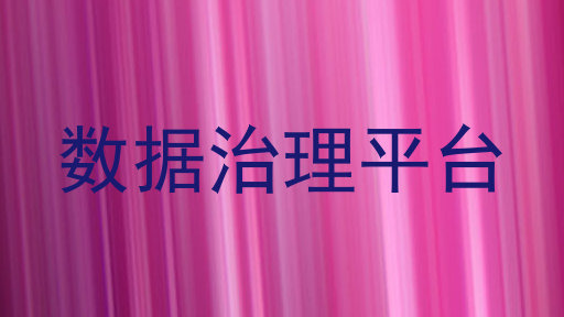数据治理平台