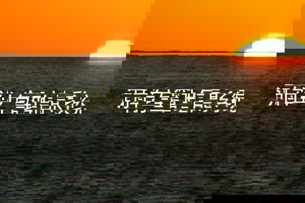 河南学生管理信息系统