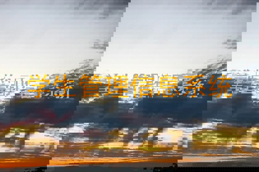 学生管理信息系统