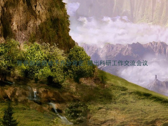 张伟副总裁给予充分肯定,提出科研工作交流会议