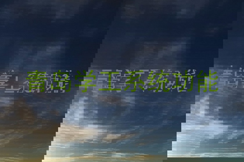 青岛学工系统功能