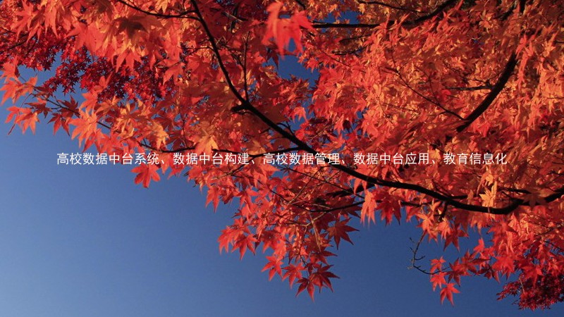 高校数据中台系统、数据中台构建、高校数据管理、数据中台应用、教育信息化