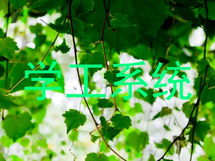 学工系统