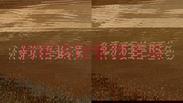 科研项目管理系统
