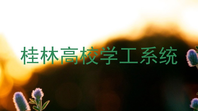 桂林高校学工系统