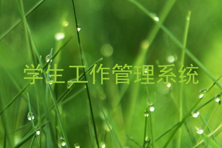 学生工作管理系统