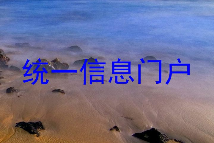 统一信息门户