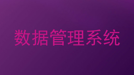 数据管理系统