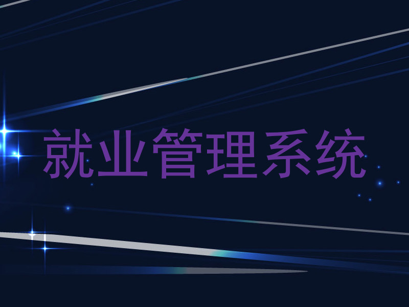 就业管理系统