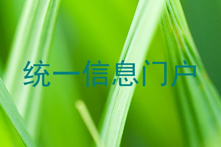 统一信息门户