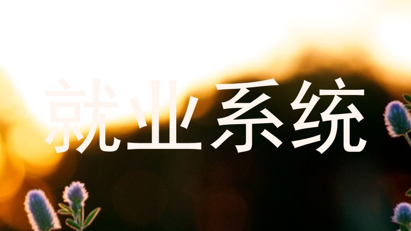 就业系统