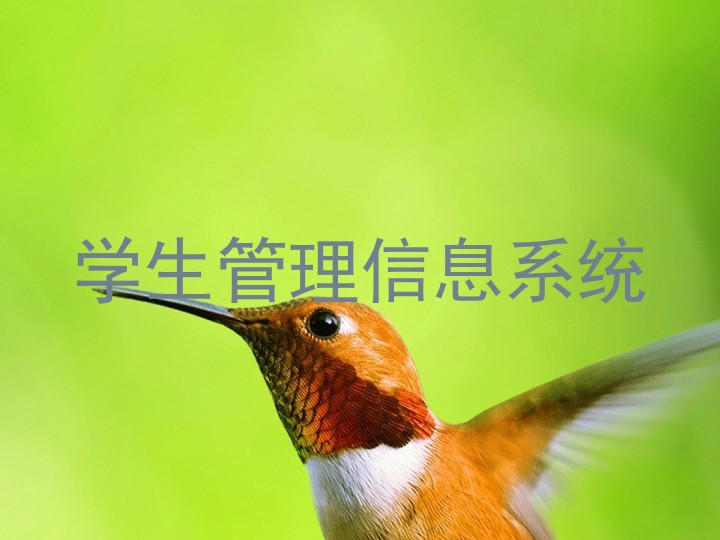 学生管理信息系统