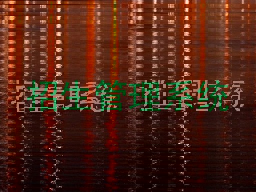 招生管理系统