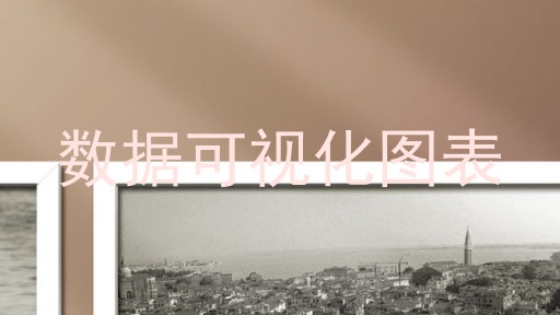 数据可视化图表