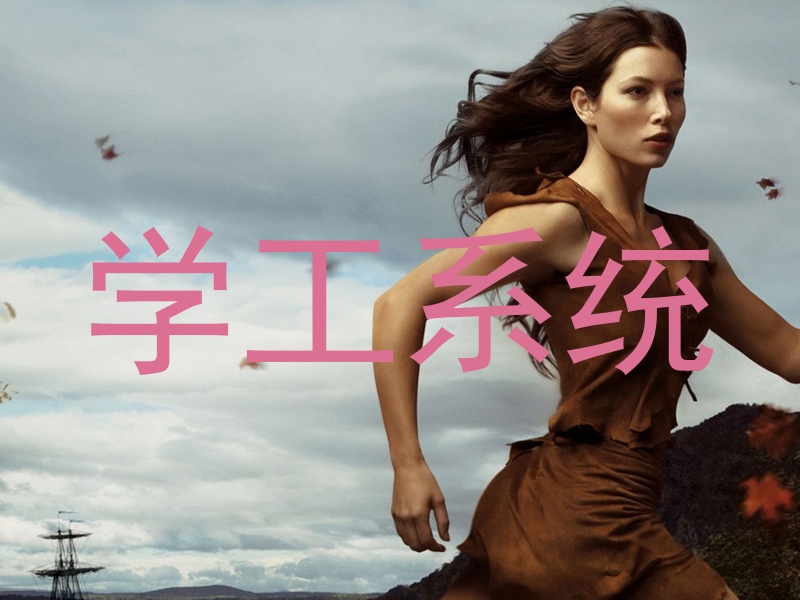 学工系统