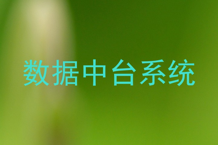 数据中台系统