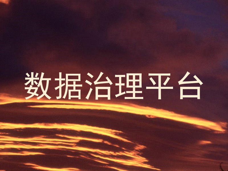 数据治理平台