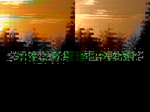 学生工作管理系统介绍