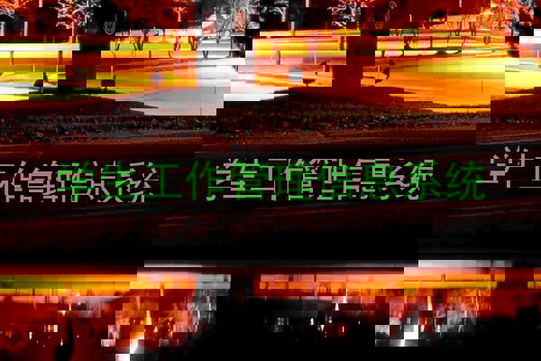 学生工作管理信息系统