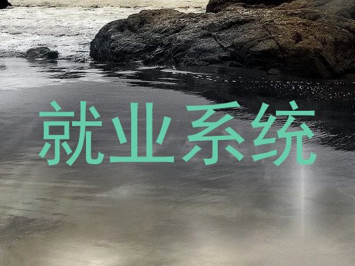 就业系统
