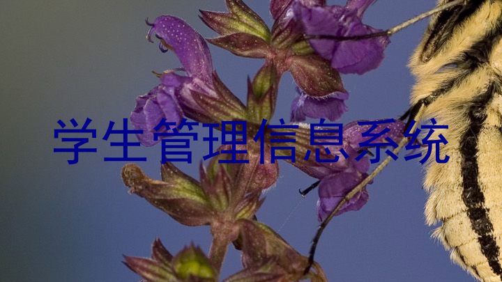 学生管理信息系统