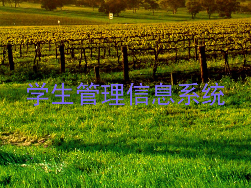 学生管理信息系统