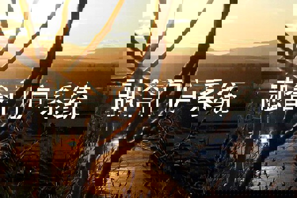 融合门户系统