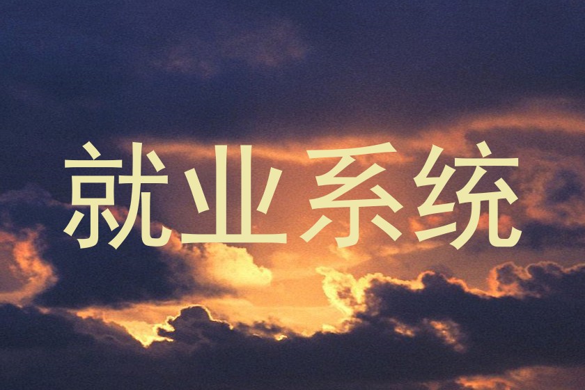 就业系统