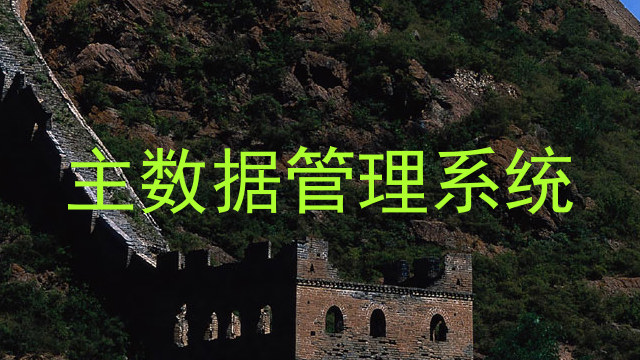 主数据管理系统