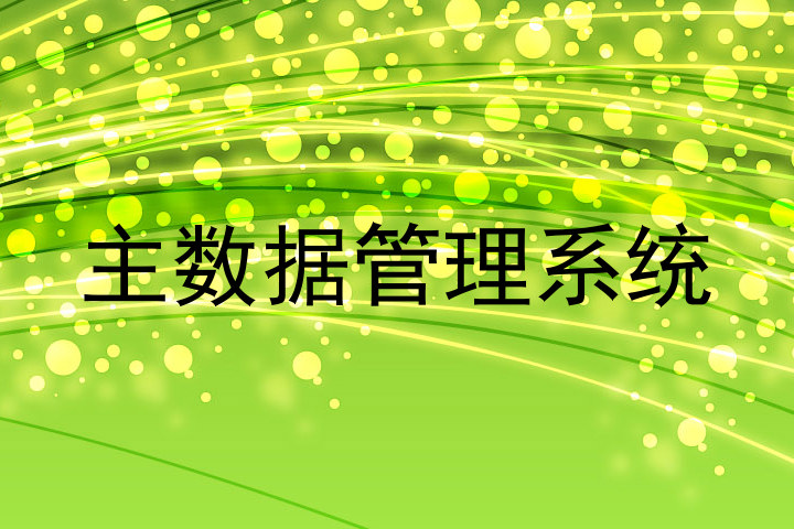 主数据管理系统