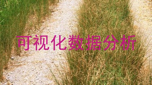 可视化数据分析