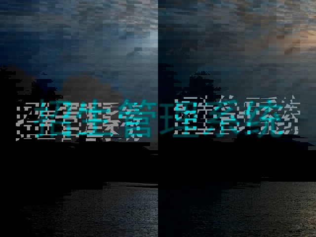 招生管理系统