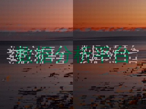 数据分析平台