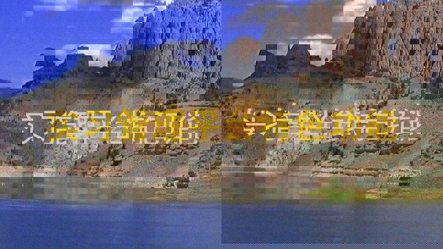 实习管理平台特色功能
