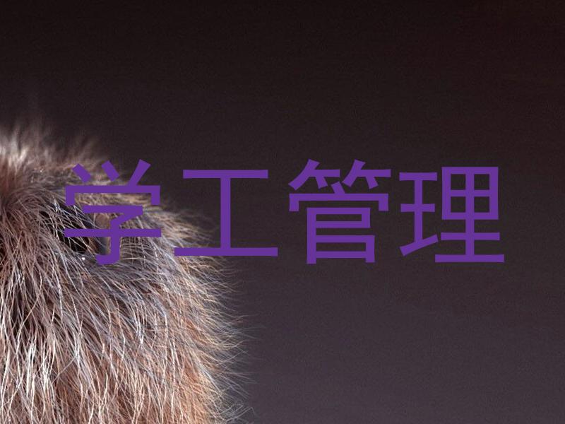 学工管理