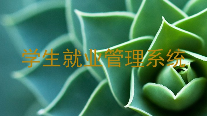 学生就业管理系统
