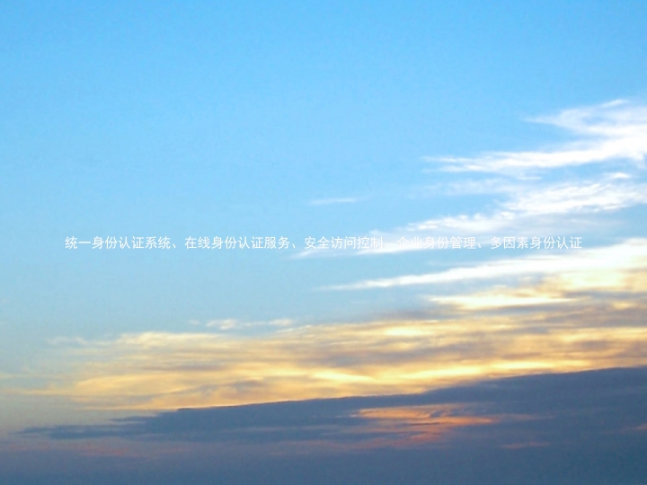 统一身份认证系统、在线身份认证服务、安全访问控制、企业身份管理、多因素身份认证