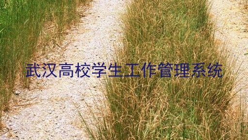武汉高校学生工作管理系统
