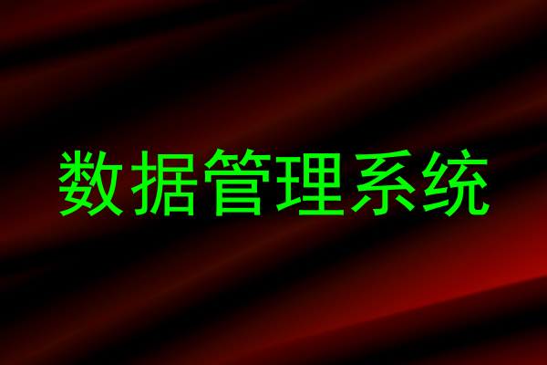 数据管理系统
