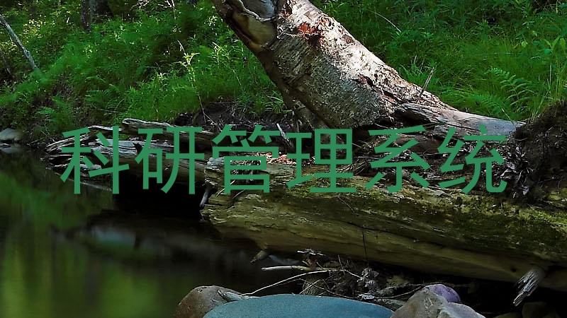 科研管理系统