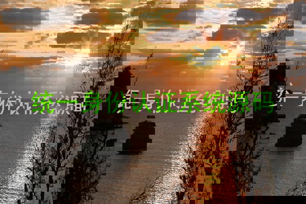 统一身份认证系统源码