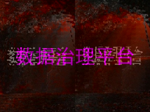 数据治理平台