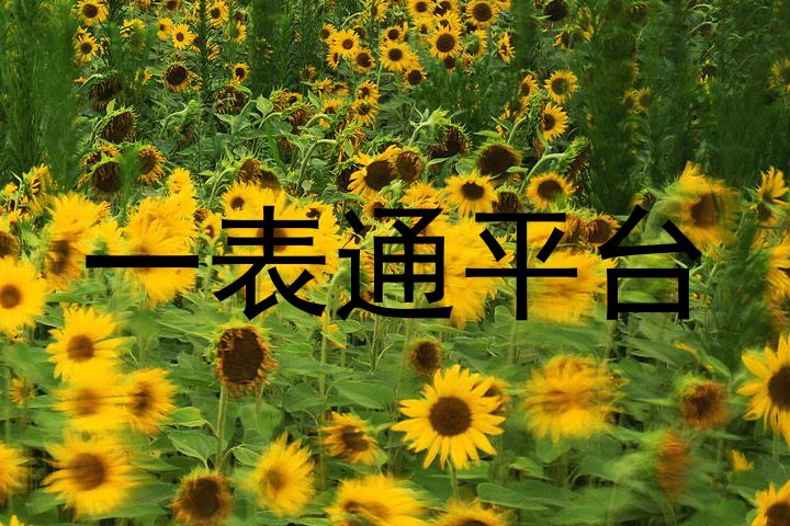 一表通平台