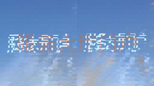 服务大厅门户