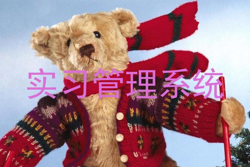 实习管理系统