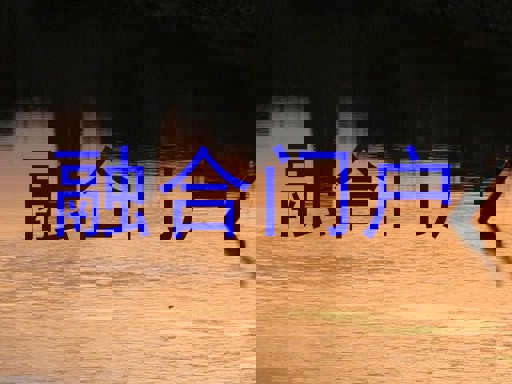 融合門戶